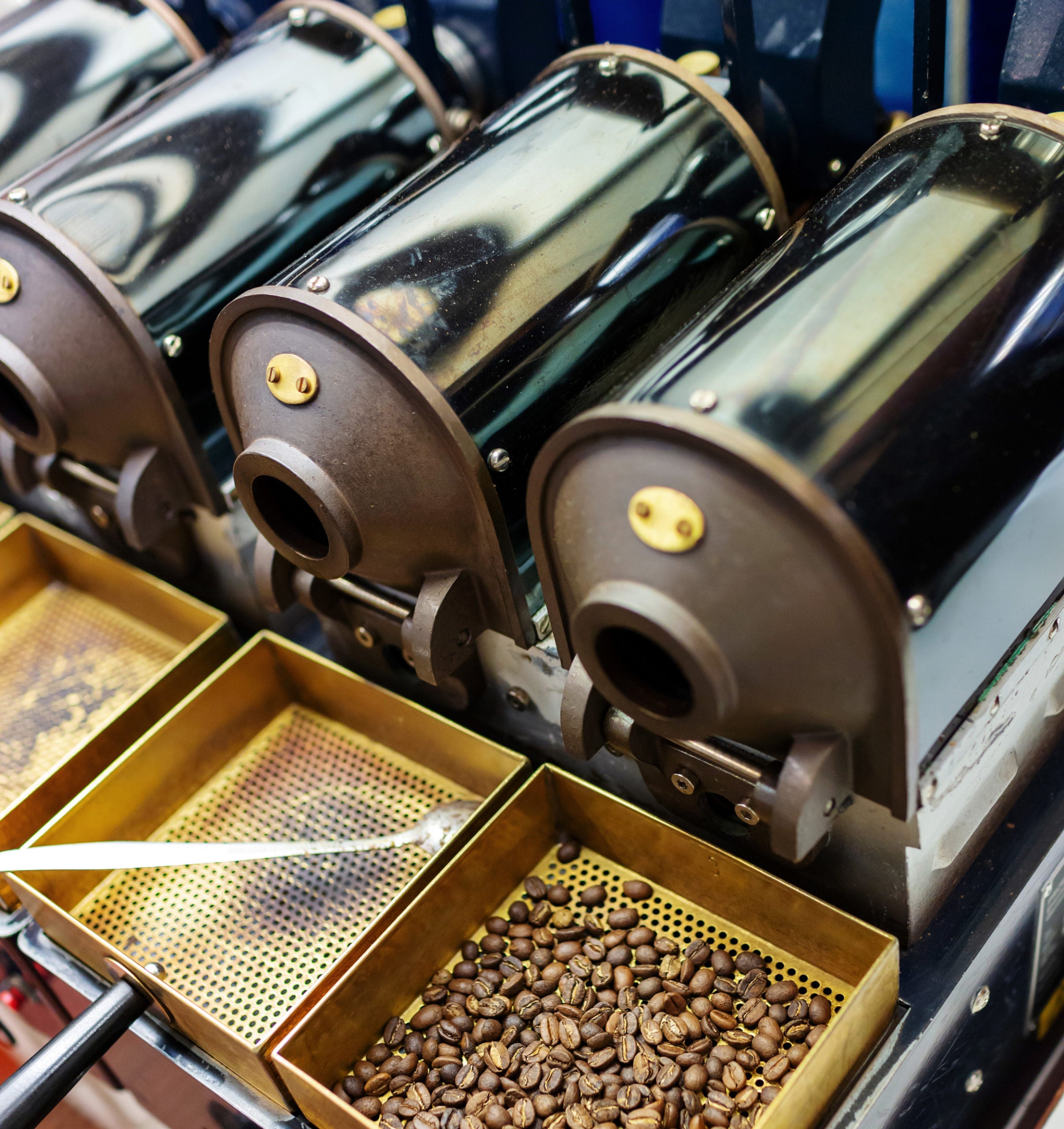 Sample Coffee Roasting Fundamentals